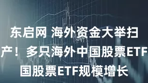 东启网 海外资金大举扫货中国资产！多只海外中国股票ETF规模增长